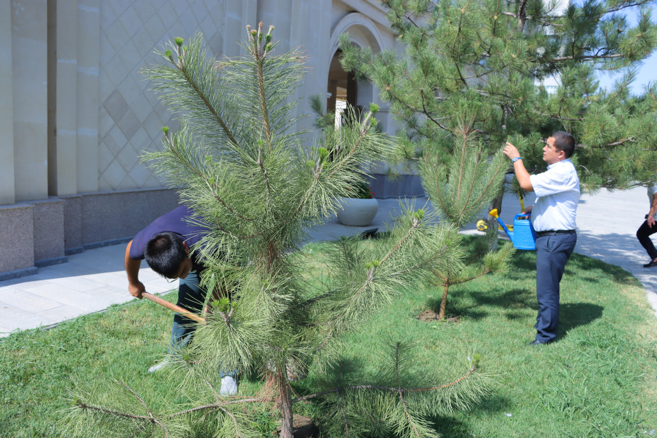 A nationwide charity hashar is being held in Uzbekistan on August 22-23, 2025.